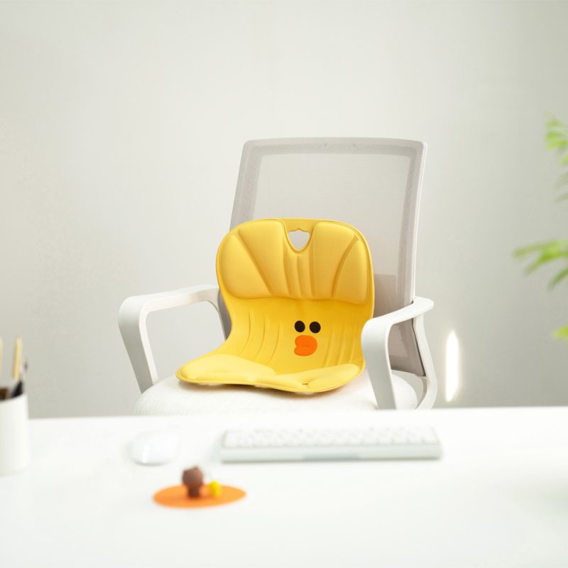 LINE FRIENDS MEETS Curble座墊SALLY限定版 + 特别版Tote Bag - Image 6